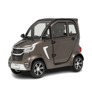 Invalide voertuigen - TTZ Electric